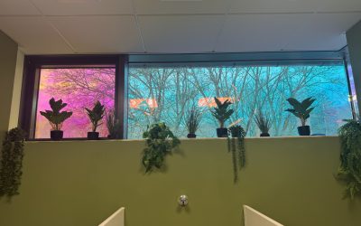 Neuer Look für unsere Schultoiletten! (02/26)