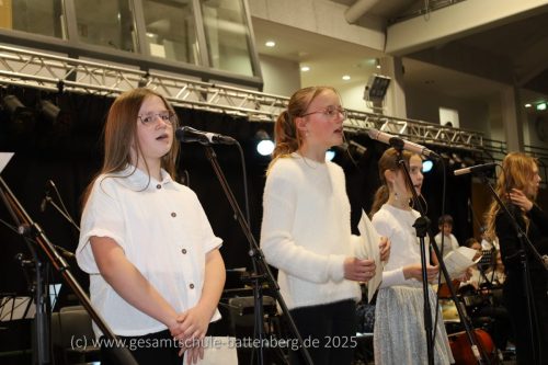 Weihnachtskonzert-25-5